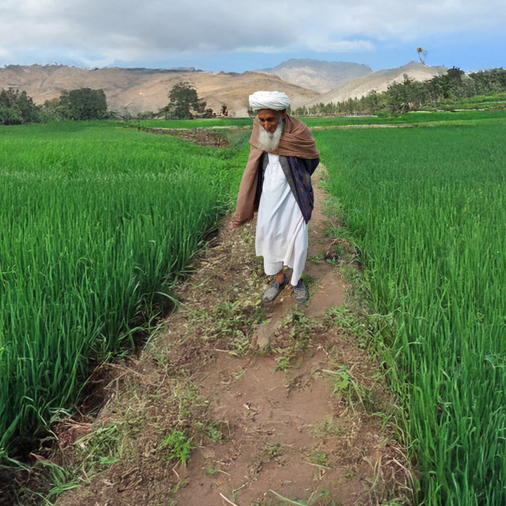 Man walking through a green field with mountains in the background