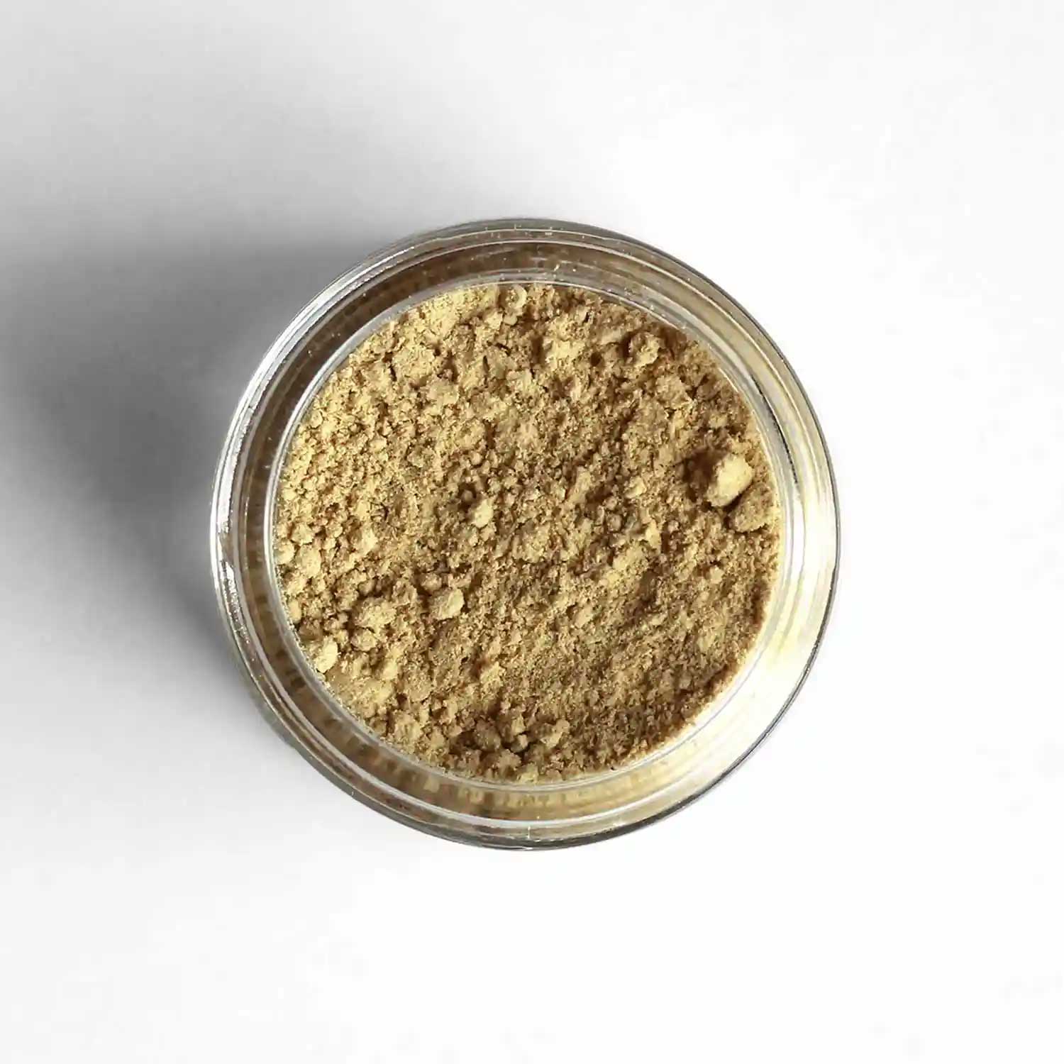 Top-down view of Costa Rican Ground Ginger