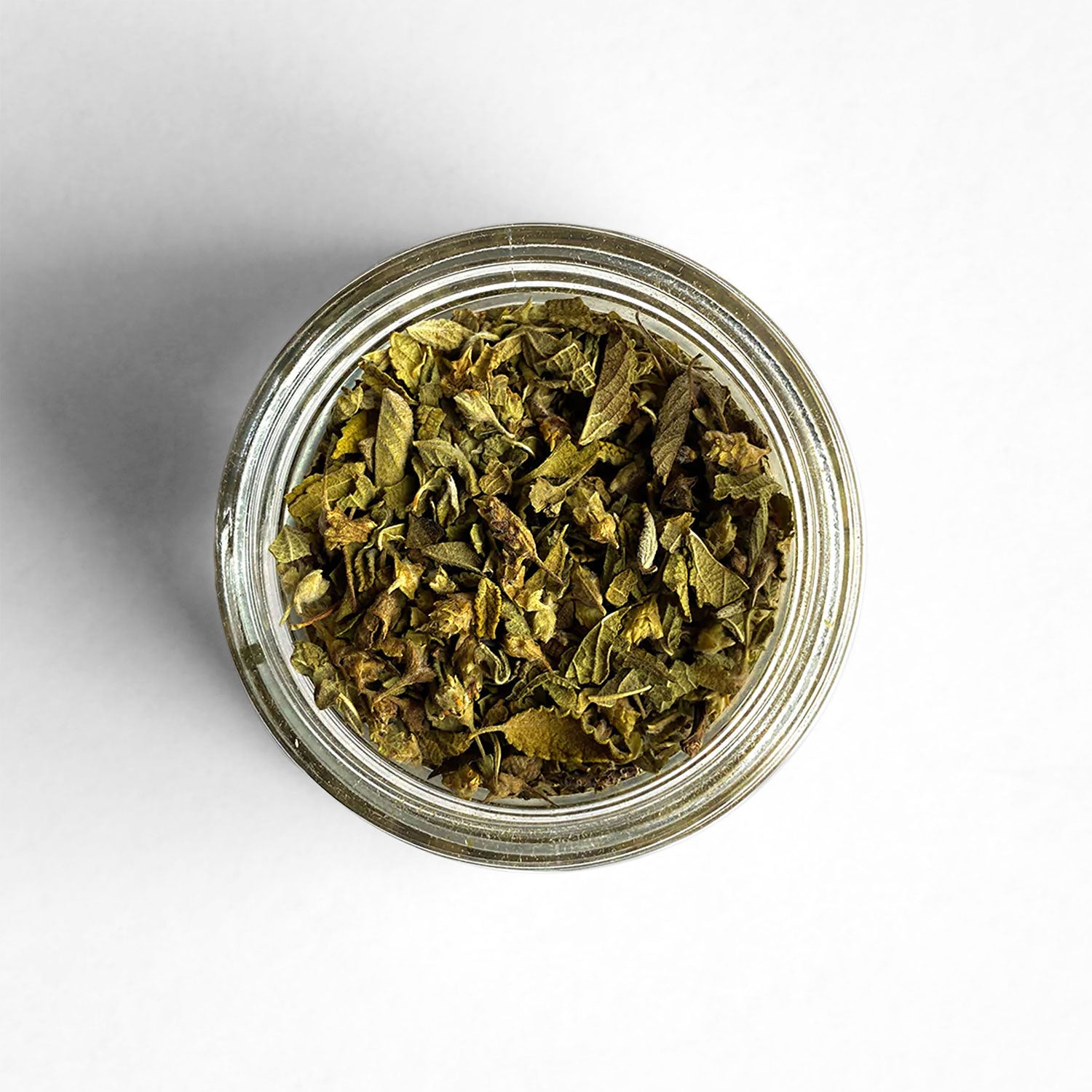Top-down view of Mexican Oregano