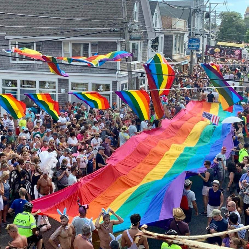 Large crowd of people holding rainbow flags in a public outdoor setting.