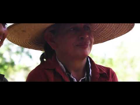 Video of Curio Spice&