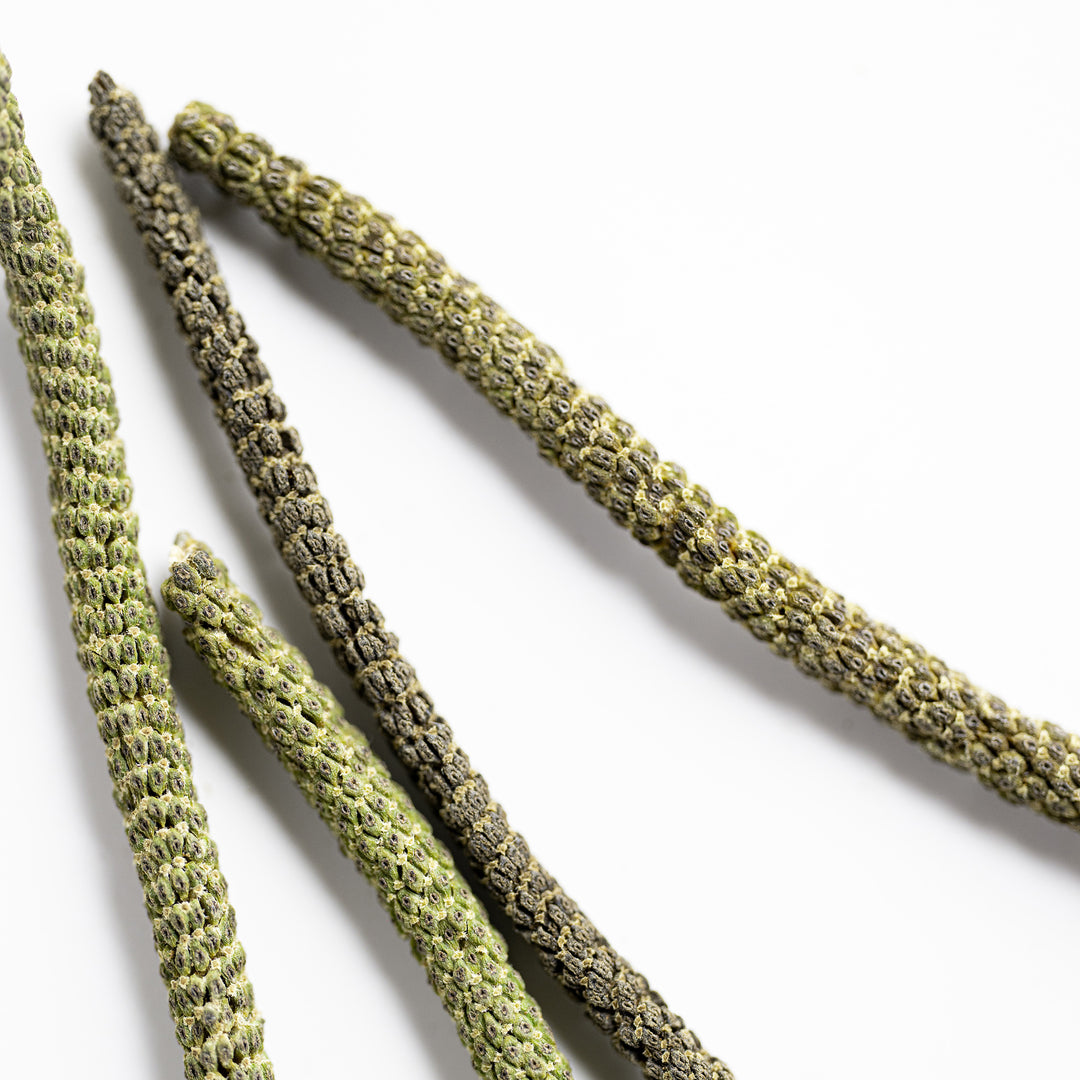 Close-up of pipilongo on a white background