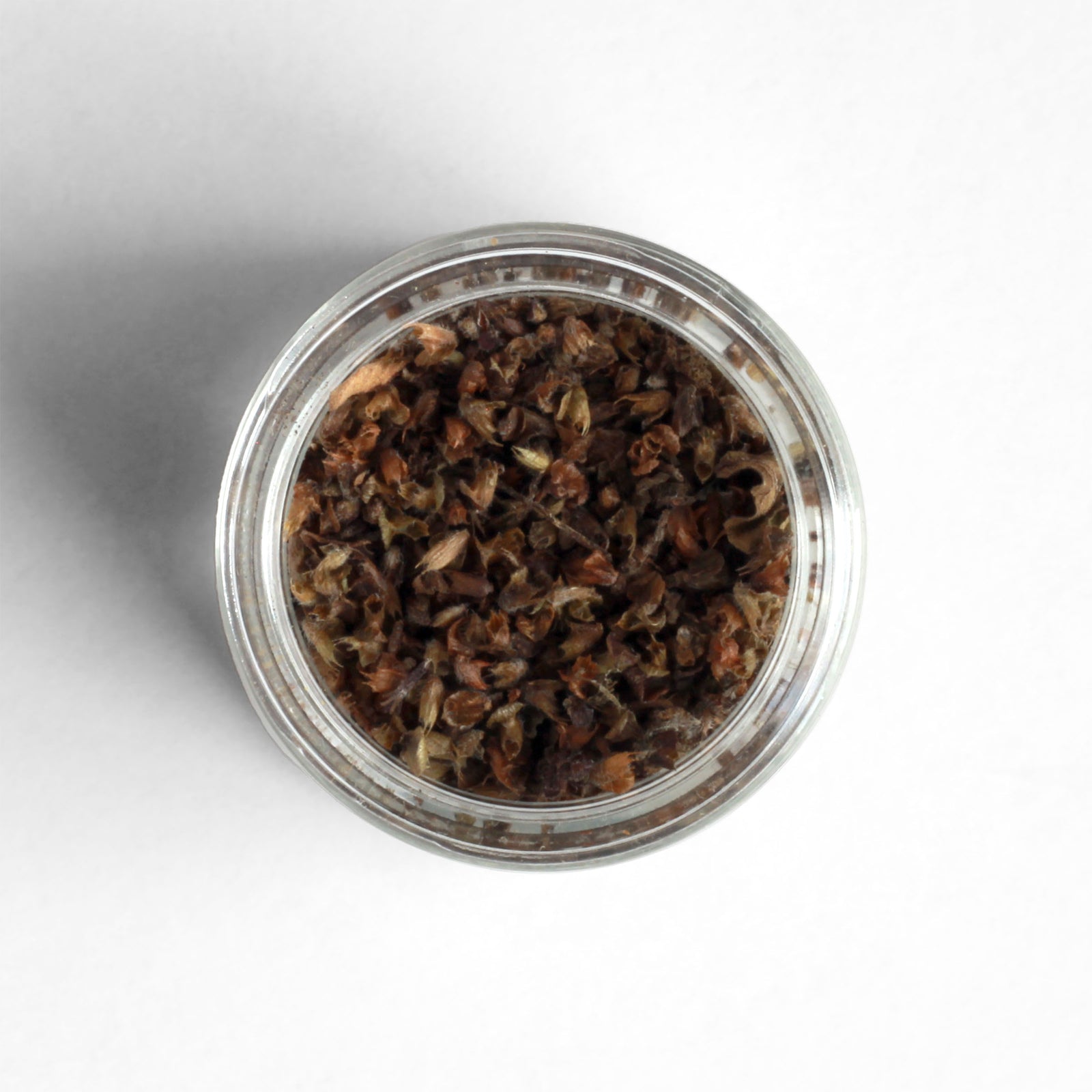Top-down view of dried Ethiopian Besobela