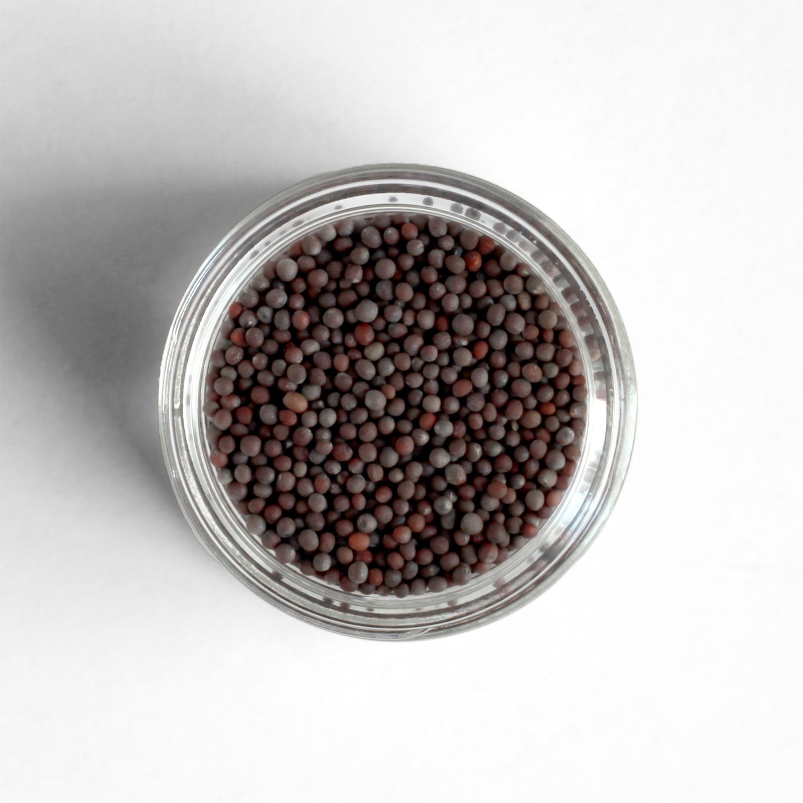 Curio Spice Co. fair-trade single origin sustainable brown mustard seed in a glass jar from above.
